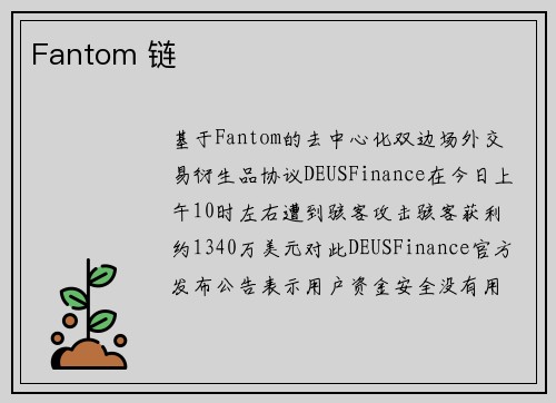 Fantom 链