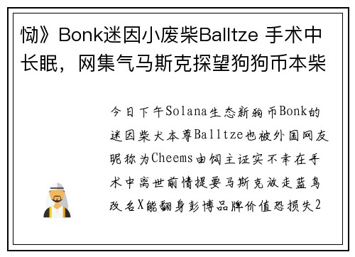 恸》Bonk迷因小废柴Balltze 手术中长眠，网集气马斯克探望狗狗币本柴